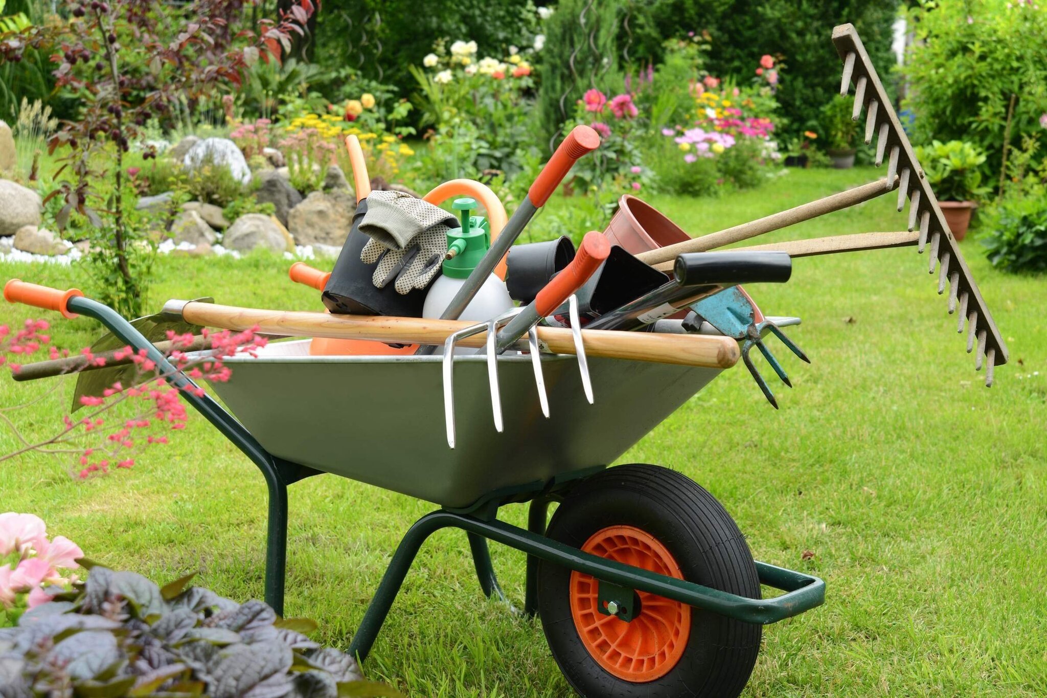 Gardening Tools: How to Choose and Maintain Them in Good Condition