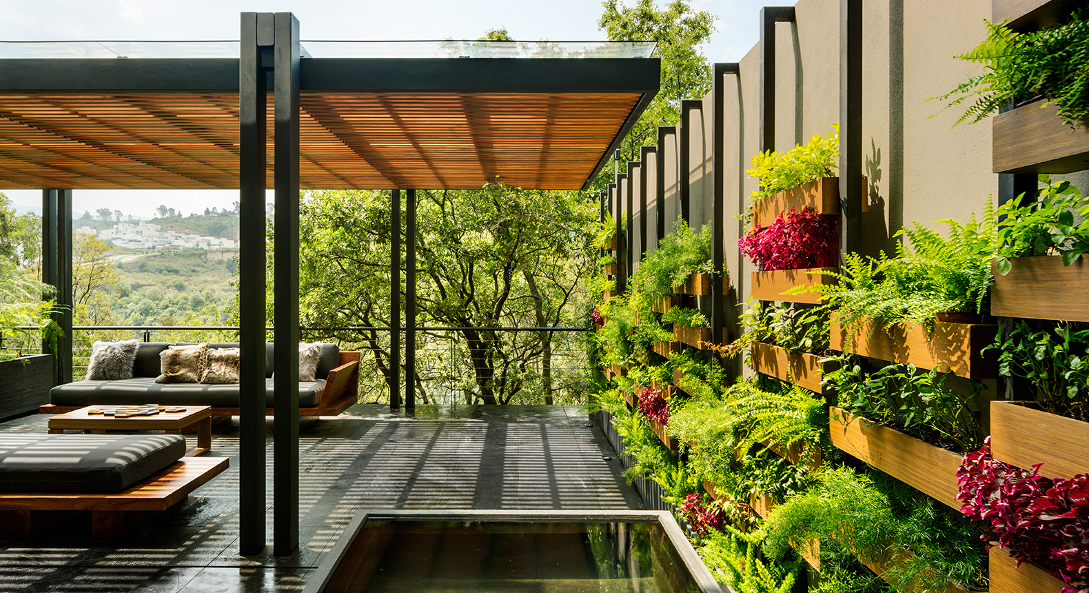 How to Create a Vertical Garden on a Balcony or Terrace